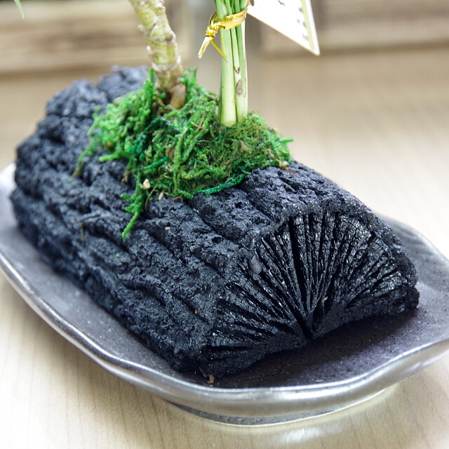 炭花壇 観葉植物 LH - （炭花壇｜観葉植物）：炭専門商社 増田屋－炭