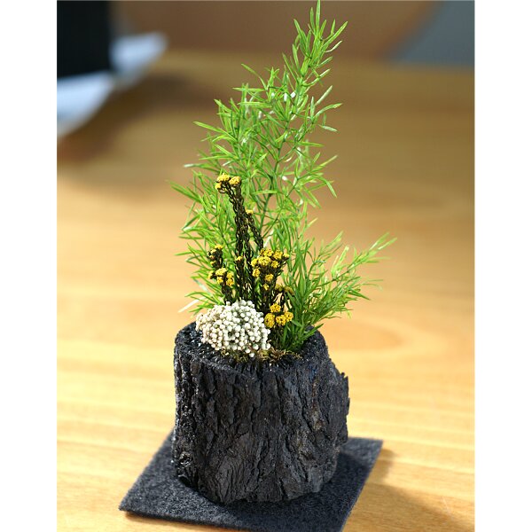 炭花壇 プリザーブド 6cm - （炭花壇｜プリザーブド）：炭専門商社