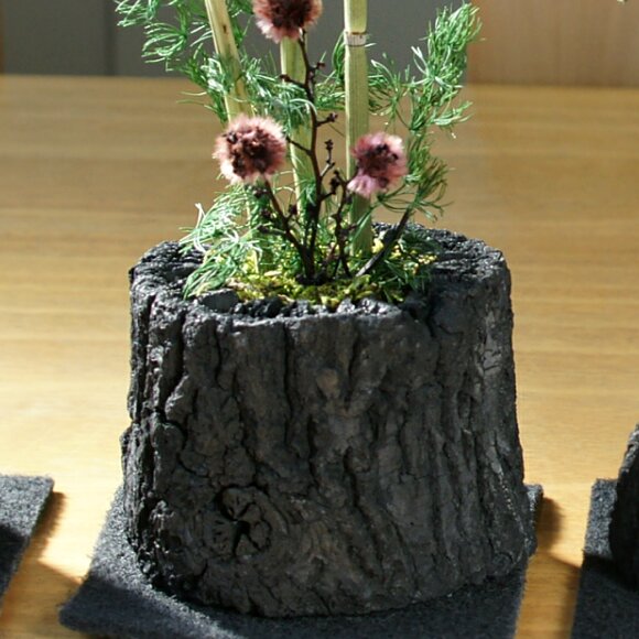 炭花壇 プリザーブド 6cm - （炭花壇｜プリザーブド）：炭専門商社