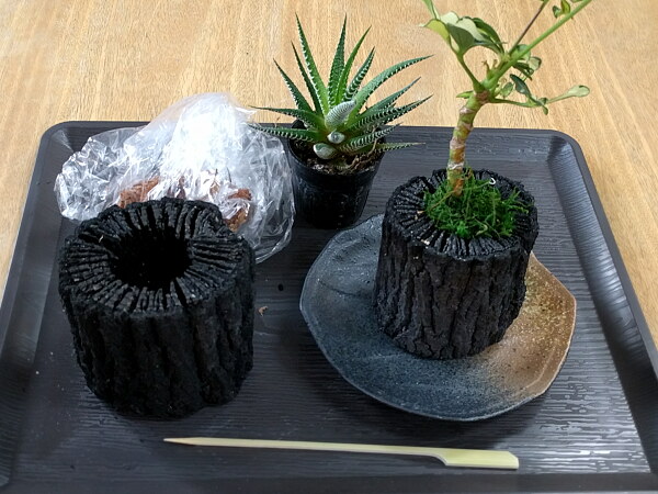 『炭花壇』ワークショップ ～参加者募集中～